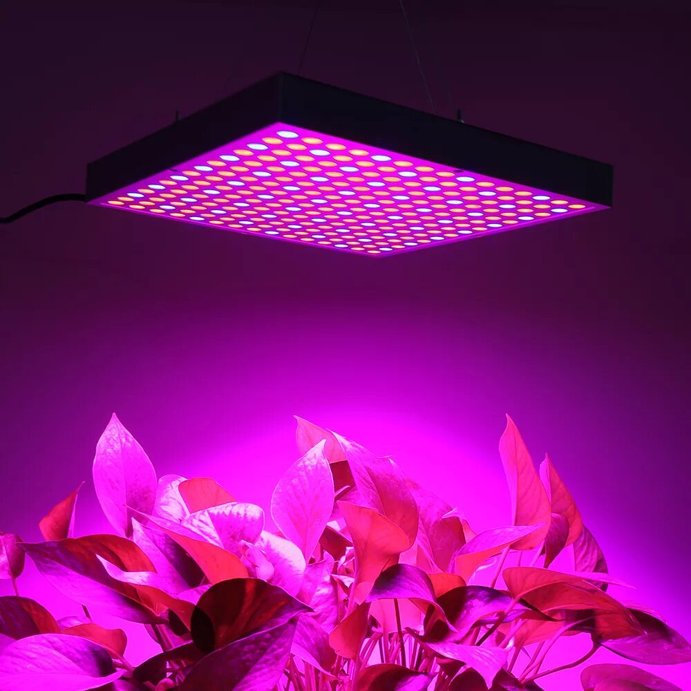 Фитолампа led grow Light. Фито лампа для растений del grow Light. Фитолампа для растений светодиодная полный спектр. Фитолампа полный спектр 36 Вт. Светодиодные светильники полного спектра