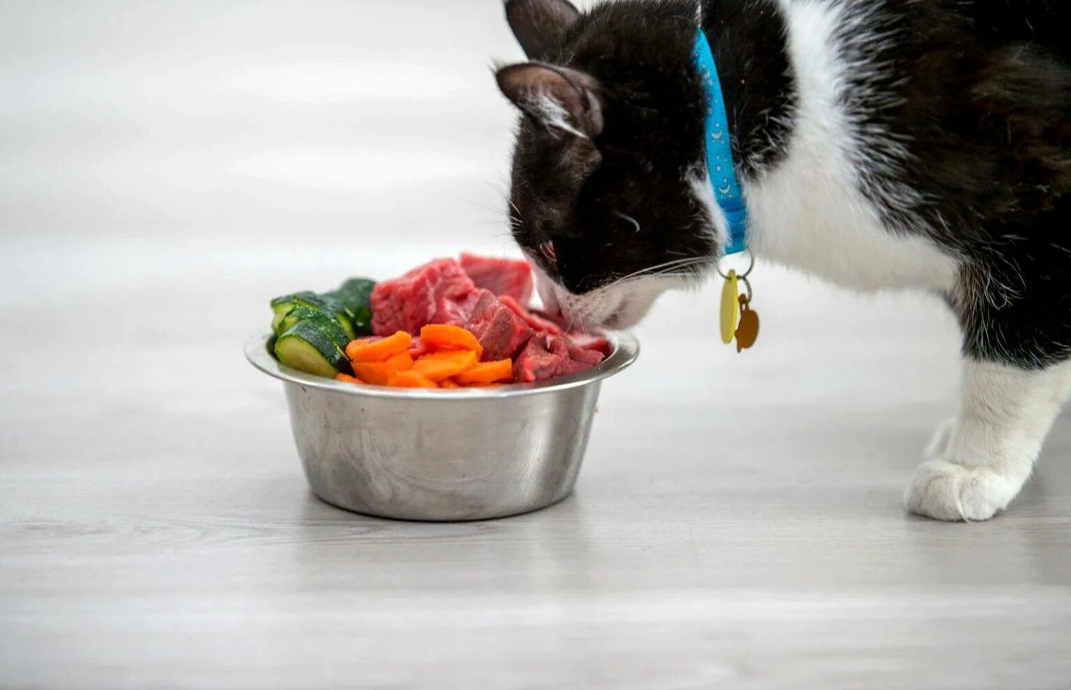 Можно давать коту сырое мясо