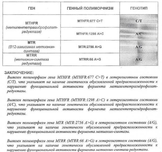 Гомозиготная мутация гена. Гетерозиготная мутация что это. Гетерозиготный носитель патологического гена. Гетерозиготное носительство мутации. Гетерозиготная мутация что это значит у женщин.