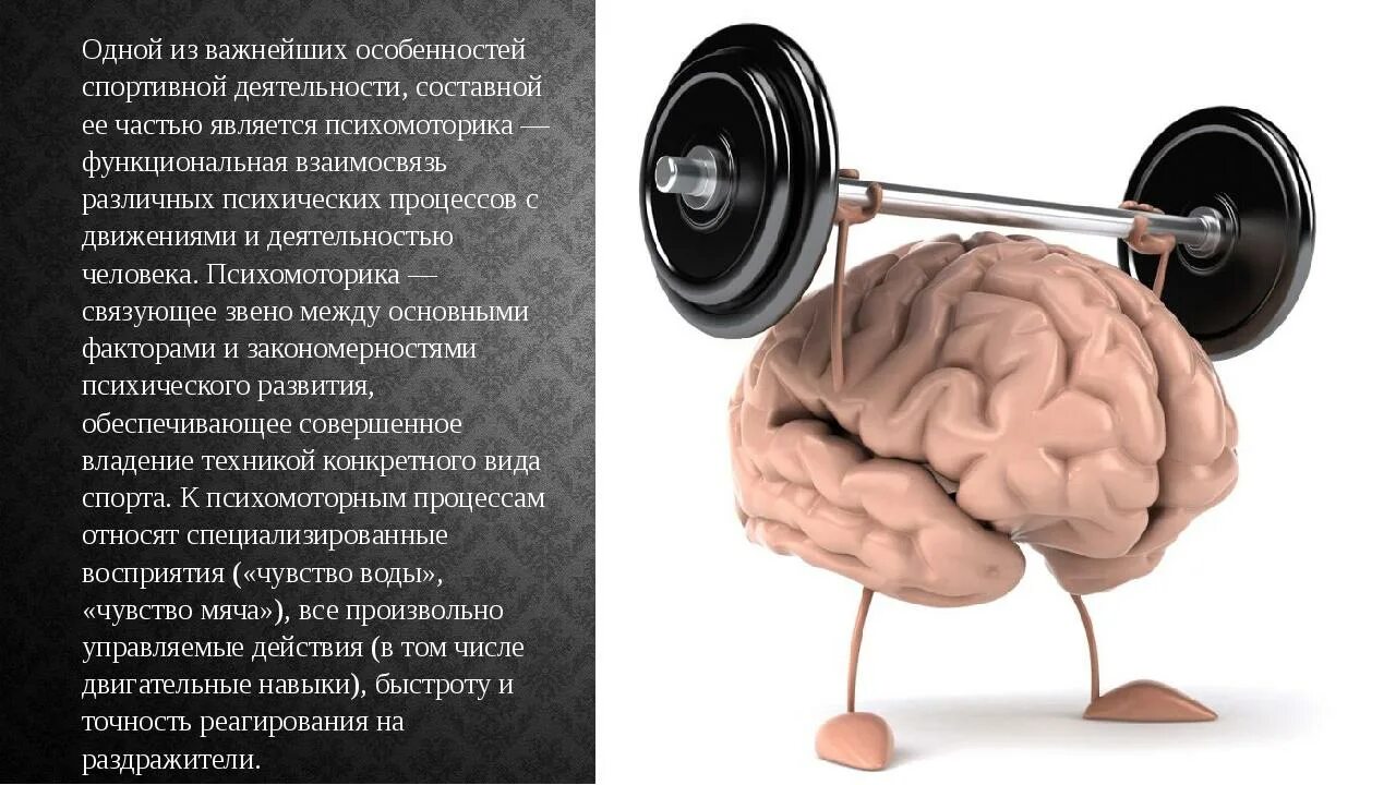 Зарядка для мозга. Тренировка мозга. Тренировка головного мозга. Подзарядка мозга. Физическая активность мозг