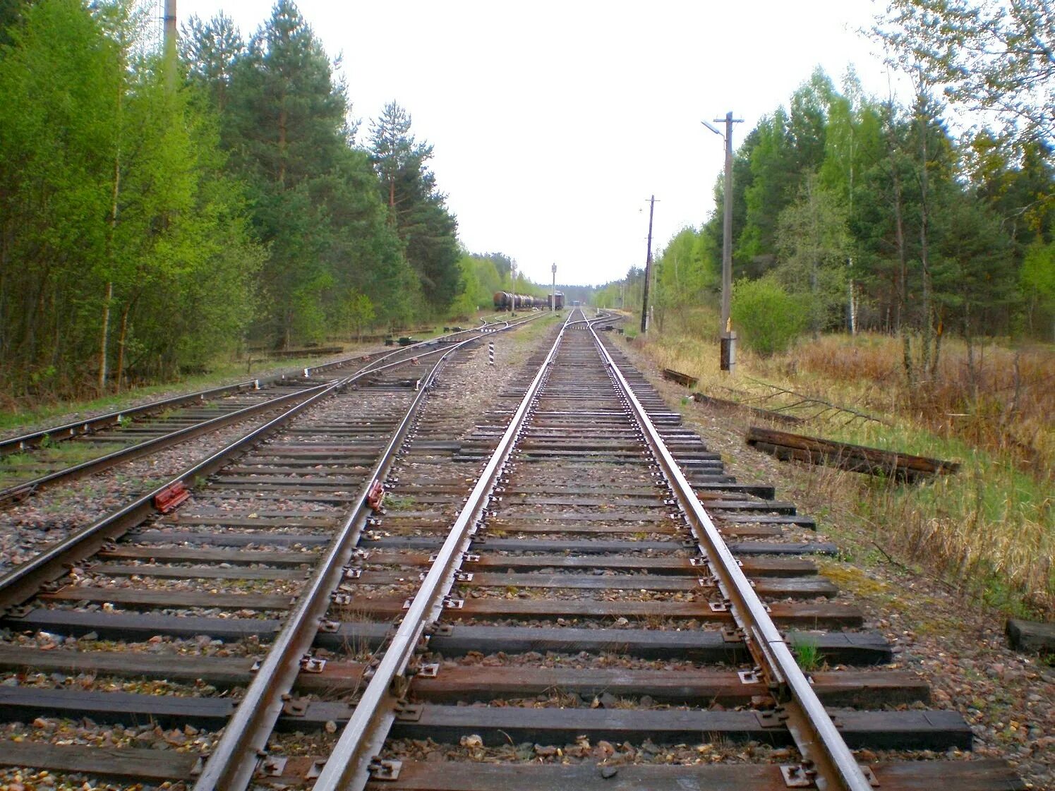 Тверца дорошиха. Доронинская станция. дорошиха. васильевский мох тверская область.