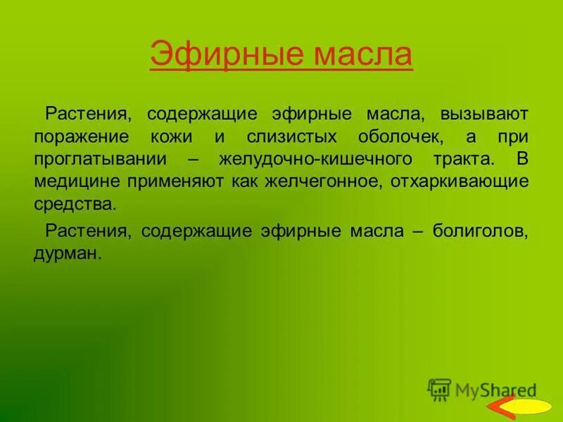 Лекарственные травы содержащие эфирные масла. Жиры растительного происхождения. Травы для эфирных масел. Жиры природного происхождения. Масло содержащие растения.