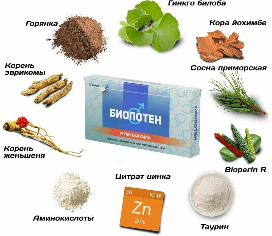 Препараты для мужской потенции. Биопотен. Препарат биопотен для мужчин. Натуральное средство для потенции.
