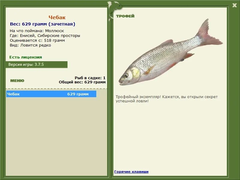 чебак вес. русская рыбалка 3 чебак\. реальная рыбалка чебак. рыба подуст и язь сравнение. подвиды плотвы.