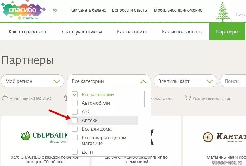 Как можно использовать сбер спасибо. Аптеки бонусы спасибо от Сбербанка. Аптеки партнеры Сбербанка спасибо. Спасибо от Сбербанка в Сбер аптеке. Как оплатить бонусами спасибо в аптеке.