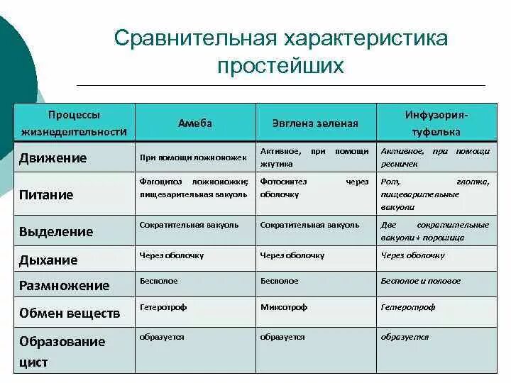 Какие типы организмов играют основную роль. Характеристика простейших 7 класс биология таблица. Таблица по биологии 7 класс сравнительная характеристика простейших. Таблица по биологии 7 класс Подцарство одноклеточных. Строение простейших 7 класс биология таблица.