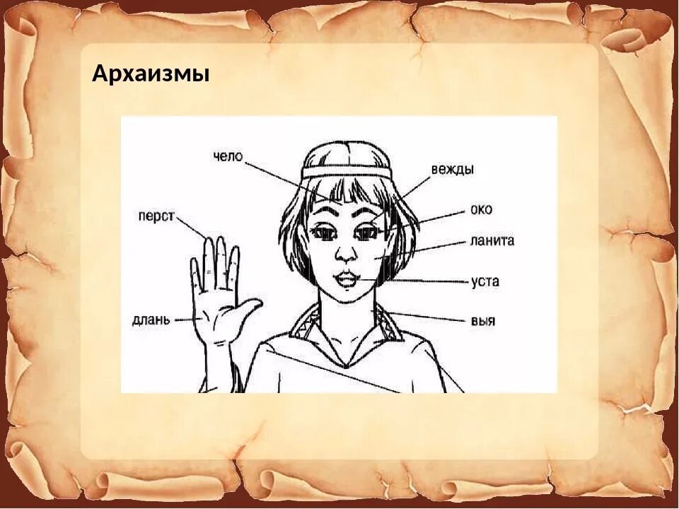 Чело 4 буквы. Архаизмы. Устаревшие архаизмы. Архаизмы презентация. Устаревшие слова рисунки.