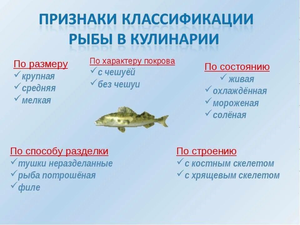 Особенности группы рыб. Классификация рыб. Классификация рыбы по размеру. Классификация видов рыб. Классификация рыбного сырья.
