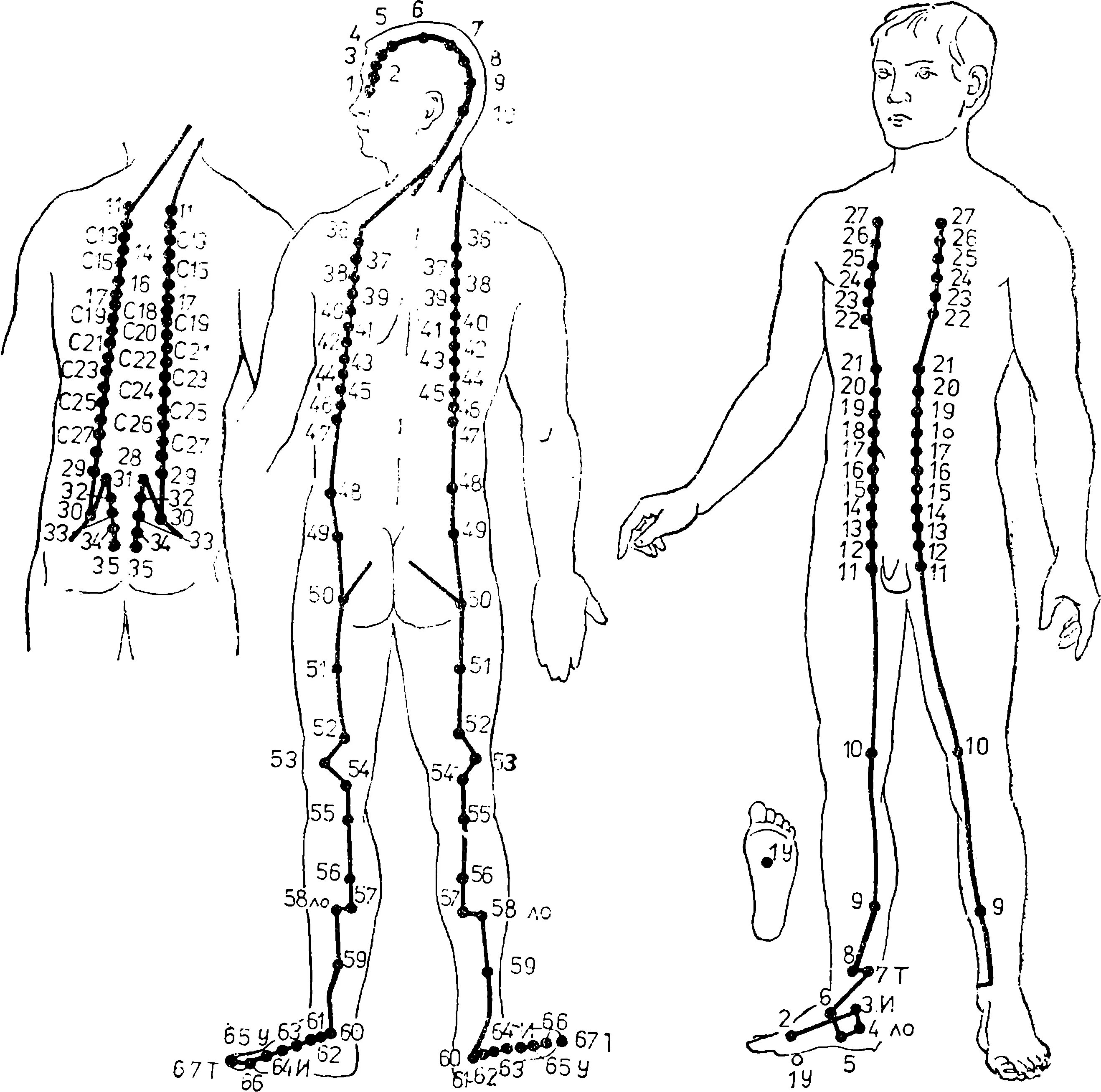 Каналы китайской медицины. Меридиан мочевого пузыря схема. Меридиан почек точки акупунктуры. Канал почек и мочевого пузыря точки акупунктурные. Меридиан почек к27.