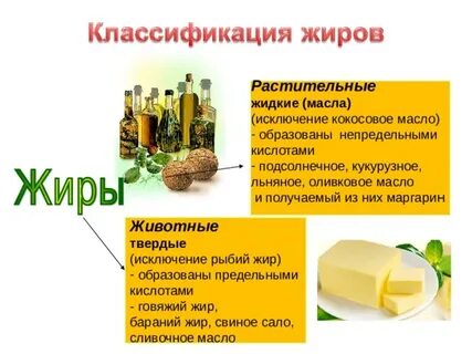 Почему жиры твердые