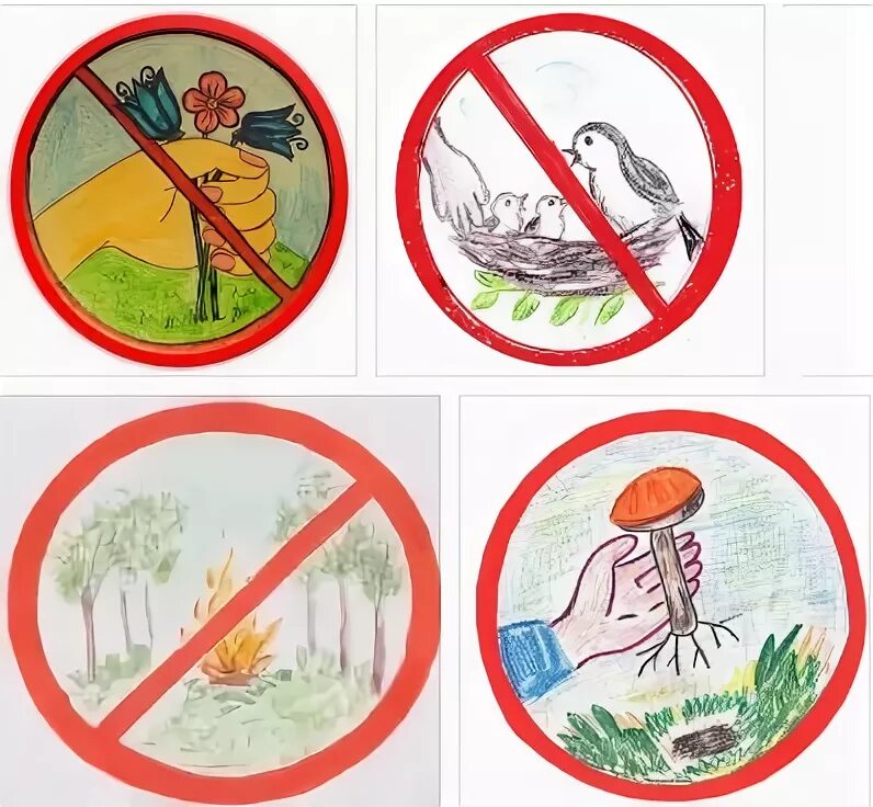 Хорошо в лесу какой знак. Знаки защиты природы. Знаки защиты природы для детей. Знаки природы для дошкольников. Природоохранные знаки.