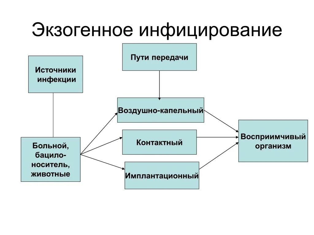 Основные источники и пути передачи. Экзогенные пути передачи инфекции. Экзогенный и эндогенный пути передачи инфекции. Схема экзогенного инфицирования. Эндогенный путь передачи источника инфекции.