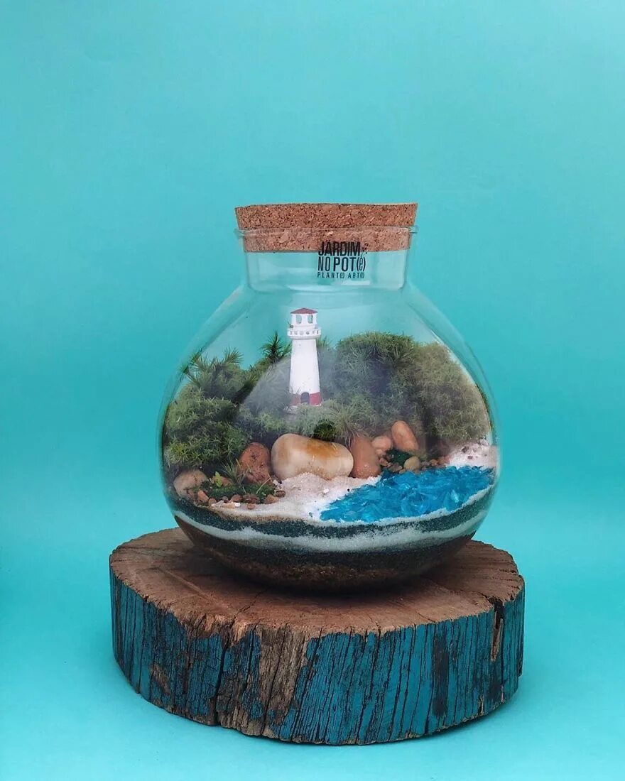 Террариум в баночке. Terrarium moss террариумный мох. Мосс флорариум. Экосистема флорариум. Террариум банки.