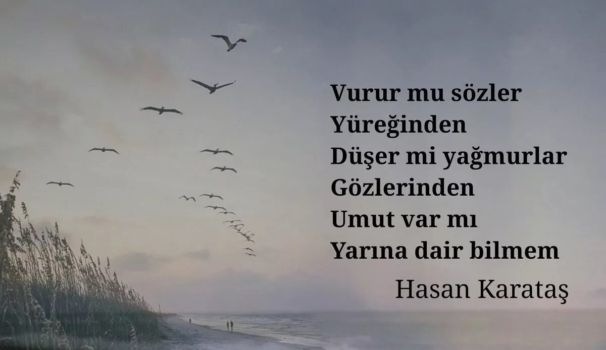 Umut цитаты. Стул с крыльями фото метафора в. Umut картинки. Ve umut. Ve umut.