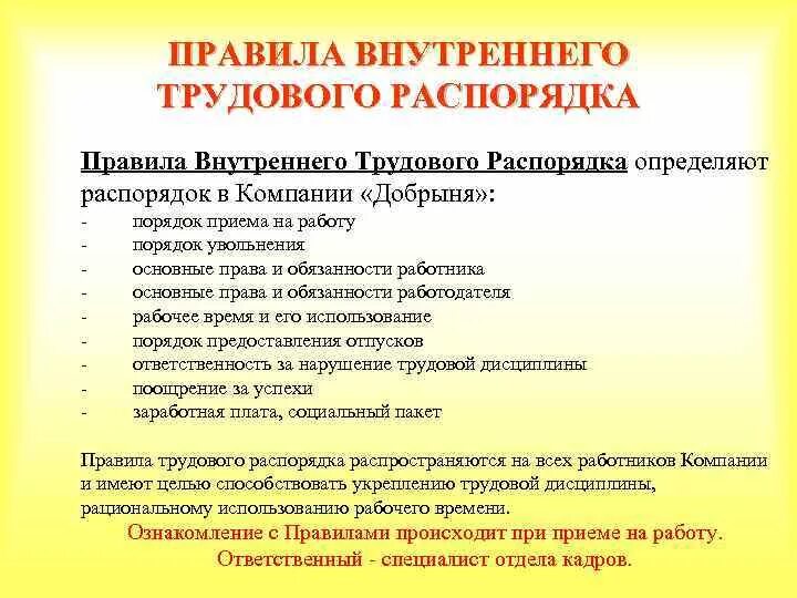 Правила внутреннего трудового распорядка в аптечной организации. Порядок правил внутреннего трудового распорядка.. Внутренний распорядок аптечной организации. Внутренний трудовой распорядок аптечной организации.