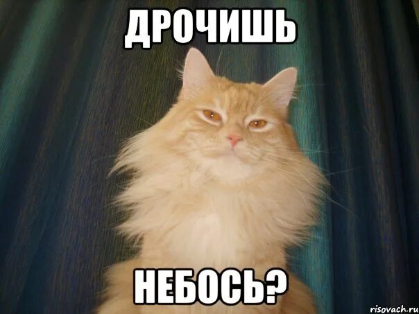 Опять Дрочить Что Ли