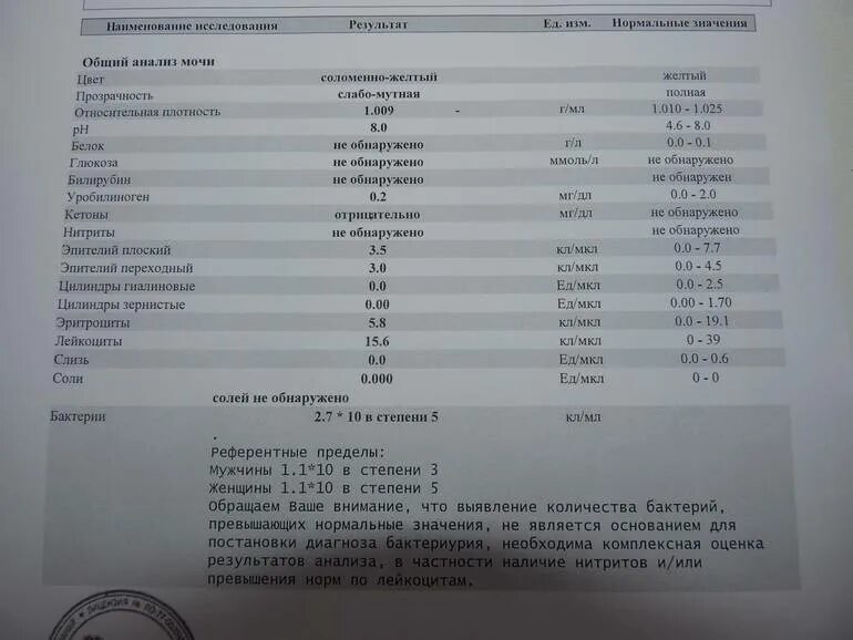 Бактерии в моче ОАМ норма. Анализ мочи расшифровка у женщин бактерии норма. Анализ мочи бактерии норма у женщин. Анализ мочи бактерии 4 что это. Бактерии и слизь в моче у женщин