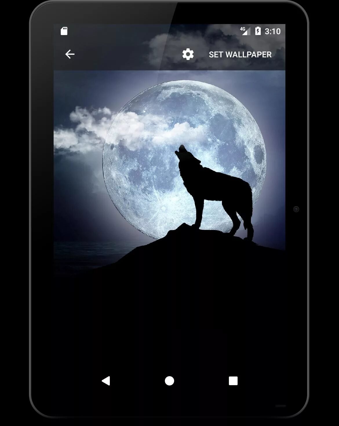 Parallax 4d