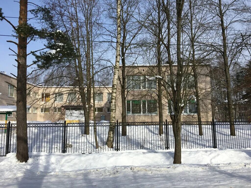 школа 438 приморского района. школа лисий нос. лисий нос санкт-петербург школа. школа лисий нос. лисий нос школа 436.