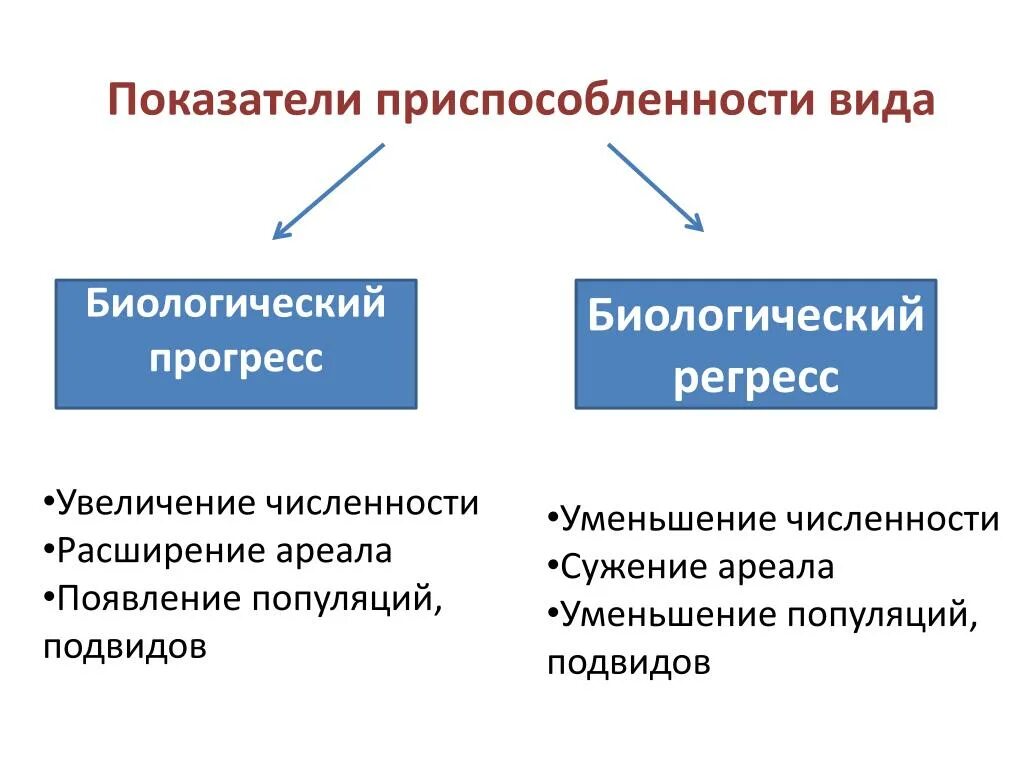 Регресс показателей. Показатели биологического прогресса. Биологический процесс и биологический регресс. 1.1. Биологический Прогресс (критерии, примеры). Виды биологического прог.