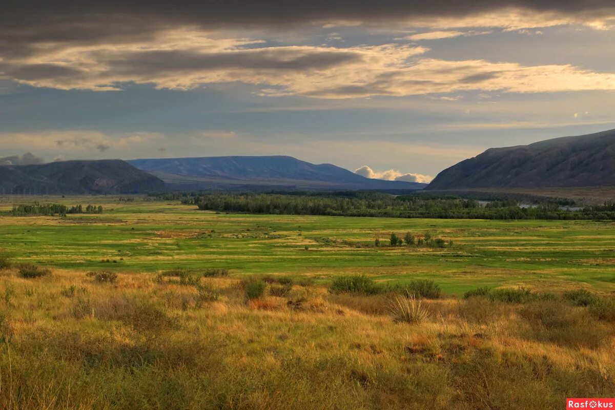 природа хакасии. хакасия летом. природа ширинского района республики хакасия панорама. хакасия летом.
