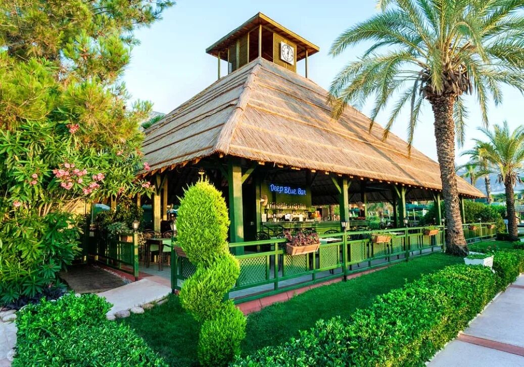 Отель amara club marine nature 5 турция. Отель gypsophila club marine турция. Gypsophila club marine кемер. Gypsophila club marine 5 бельдиби. Amara club marine 5 турция бельдиби кемер.