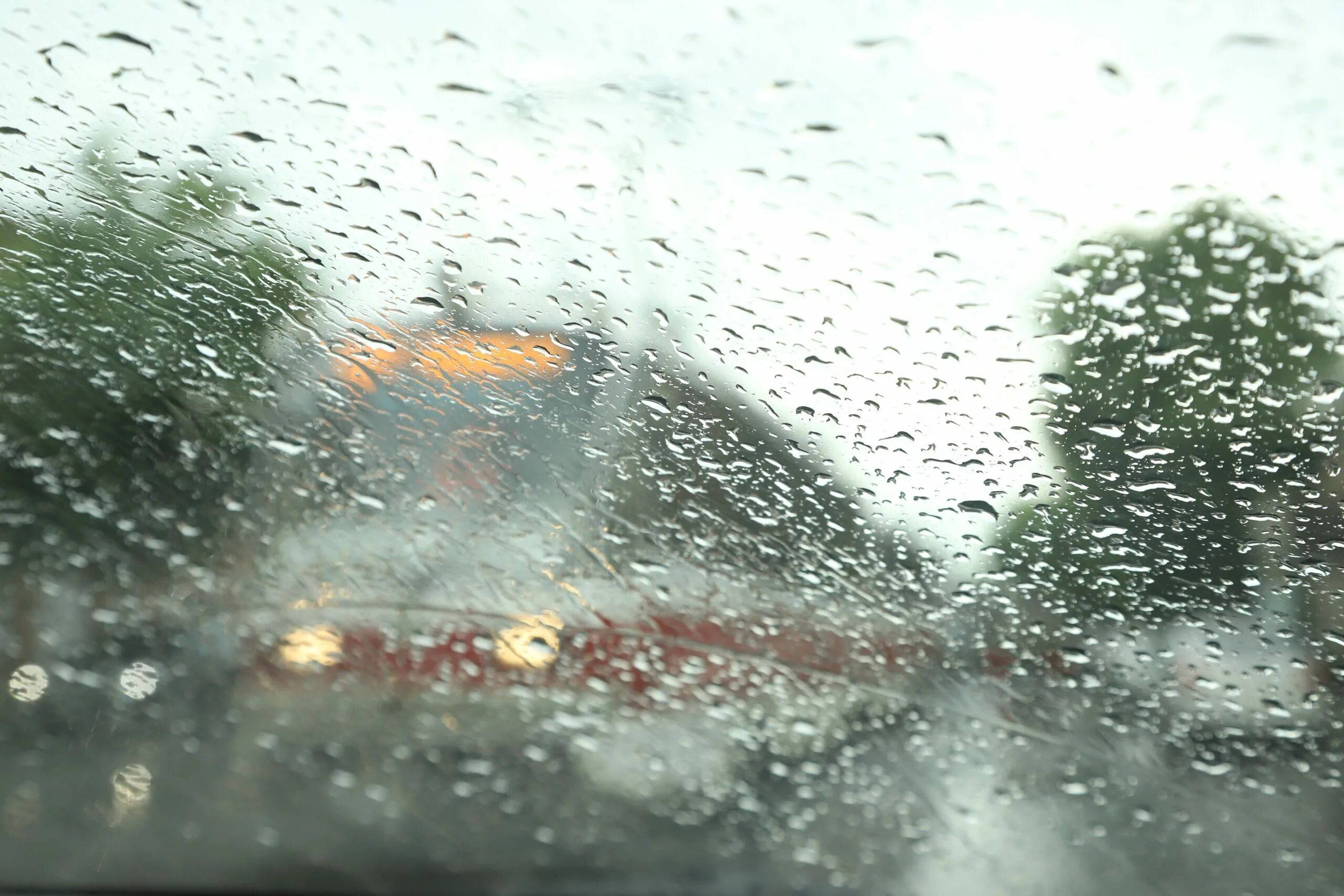 живой дождь. пасмурно дождь. ливень. август дождь. ливень в омске.