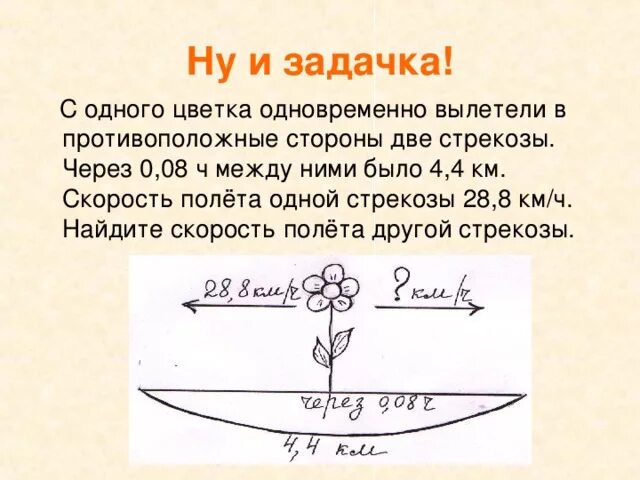 С одного цветка одновременно вылетели в противоположные. С 1 цветка одновременно вылетели в противоположные стороны 2 Стрекозы. Схема к задаче с одного цветка одновременно. С 1 цветка одновременно.