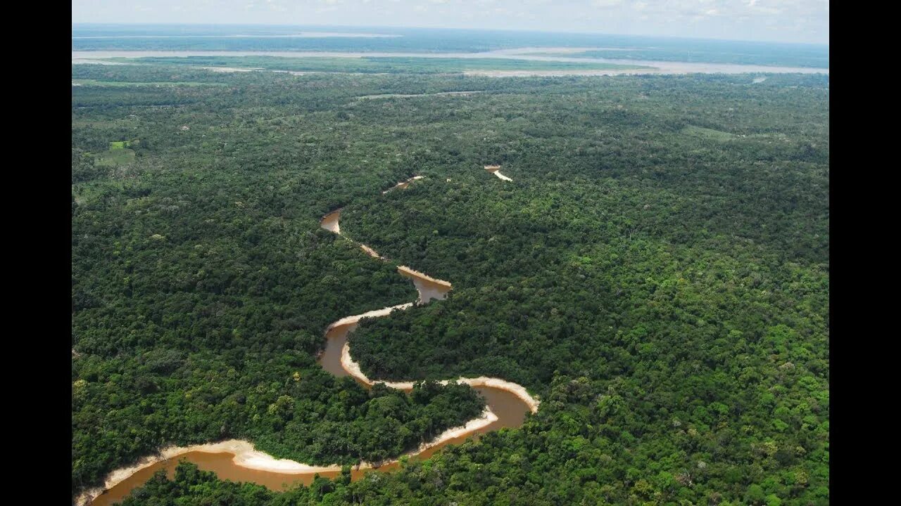 The amazon rainforest is a