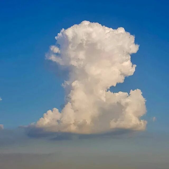 Желтые облака. Cloud 14. Cloud 14. День плетения облаков 14 октября. Историческое облако.