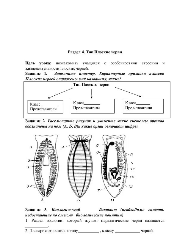 Контрольная работа биология черви. Системы органов плоских червей. Проверочная работа по биологии 7 класс плоские черви круглые черви. Задания плоские черви по биологии 7 класс. Тип плоские черви внутреннее строение.