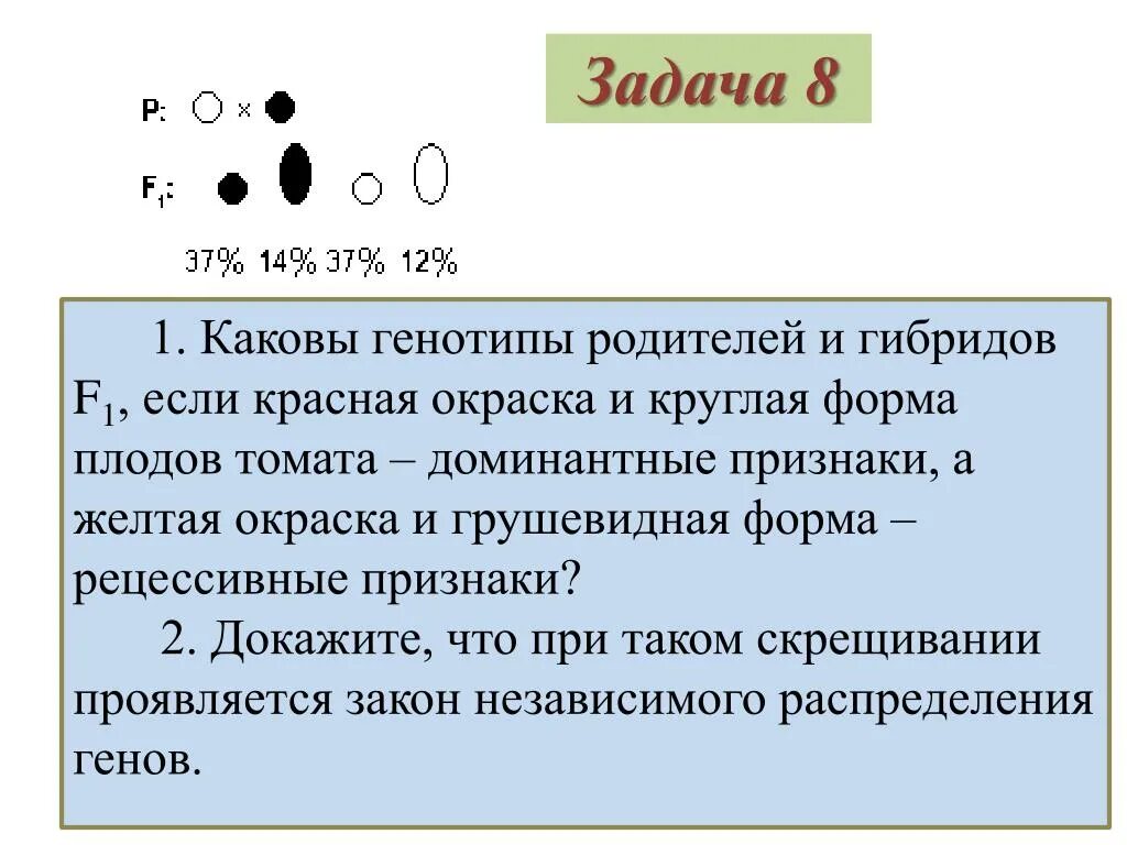 Круглая форма плода томата доминирует. Каковы генотипы родителей. Генотипы родителей помидоры круглая форма. У томатов круглая форма плодов а доминирует. Признак у гибридов f1