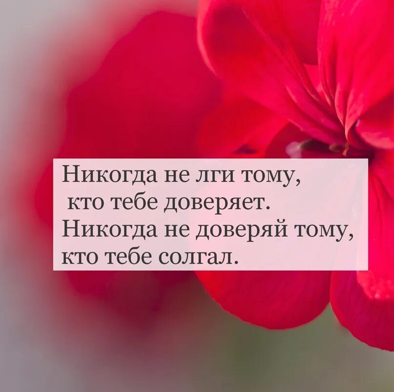 Никогда не доверяй человеку. Никогда не ври тому кто тебе доверяет. Я тебе доверяю. Я могу тебе доверять. Никогда не лги тому кто тебе доверяет никогда.