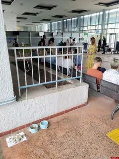 Погода псков аэропорт