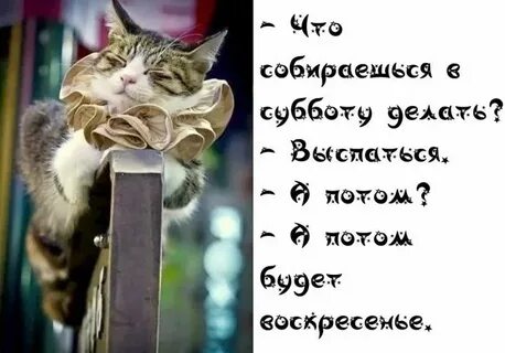 i?id=801761d8dc6a23f336f43ac824ebf3a0c28bbaf9-4612849-images-thumbs&n=13