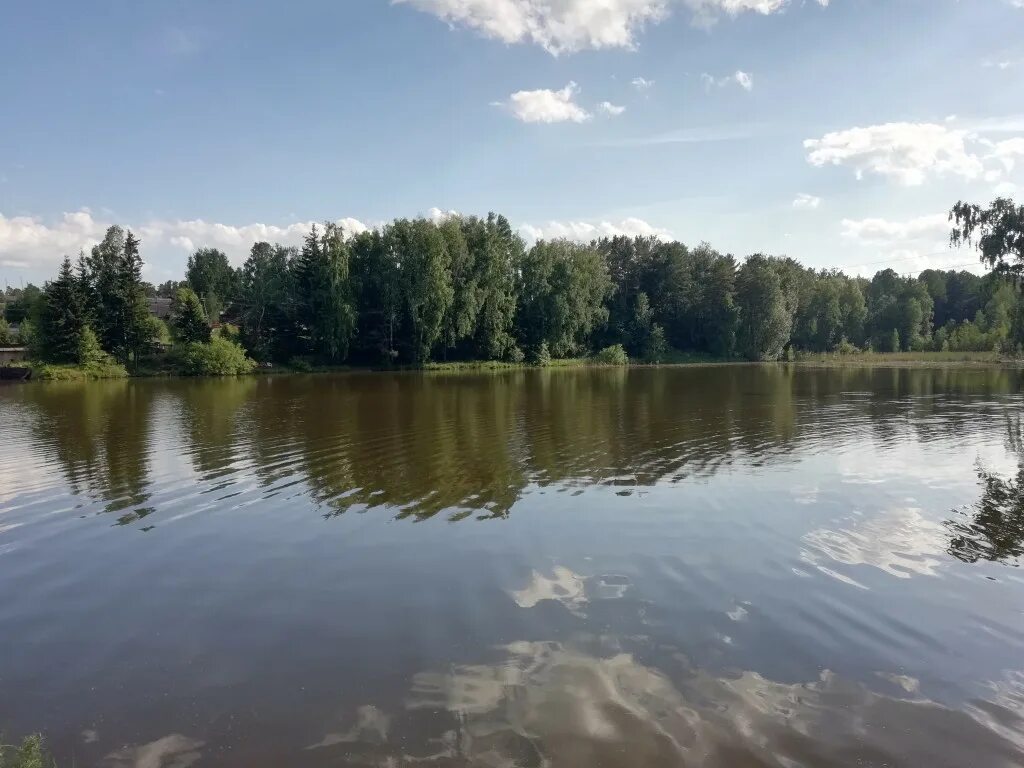 Озеро Минино Красноярск. Озеро в Минино Красноярский край. Озеро на станции Минино. Озеро Лесное Красноярск. Участок деревня озера