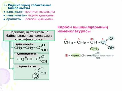 Карбон қышқылдары