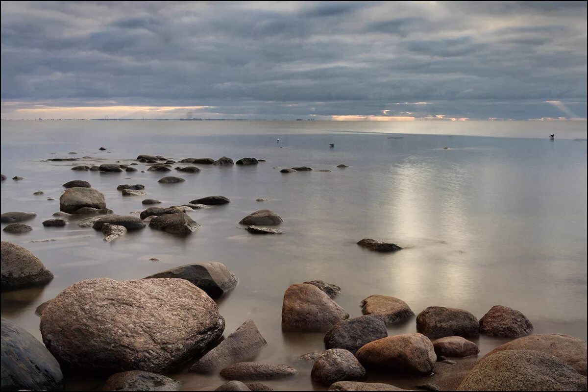 Берега залитые водой. Каменный берег валуны финский залив. Репино камни залив. Карелия финский залив. Каменный пляж финский залив Питер.