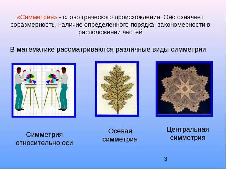 Типы симметрии животных 7 класс. Симметрия в математике. Типы симметрии. Виды симметрии в математике. Симметрия в словах.