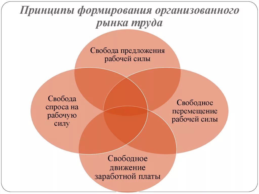 Формирование и функционирование. Принципы рынка труда. Основные принципы рынка труда. Принципы функционирования рынка труда. Дополните принципы рынка труда.