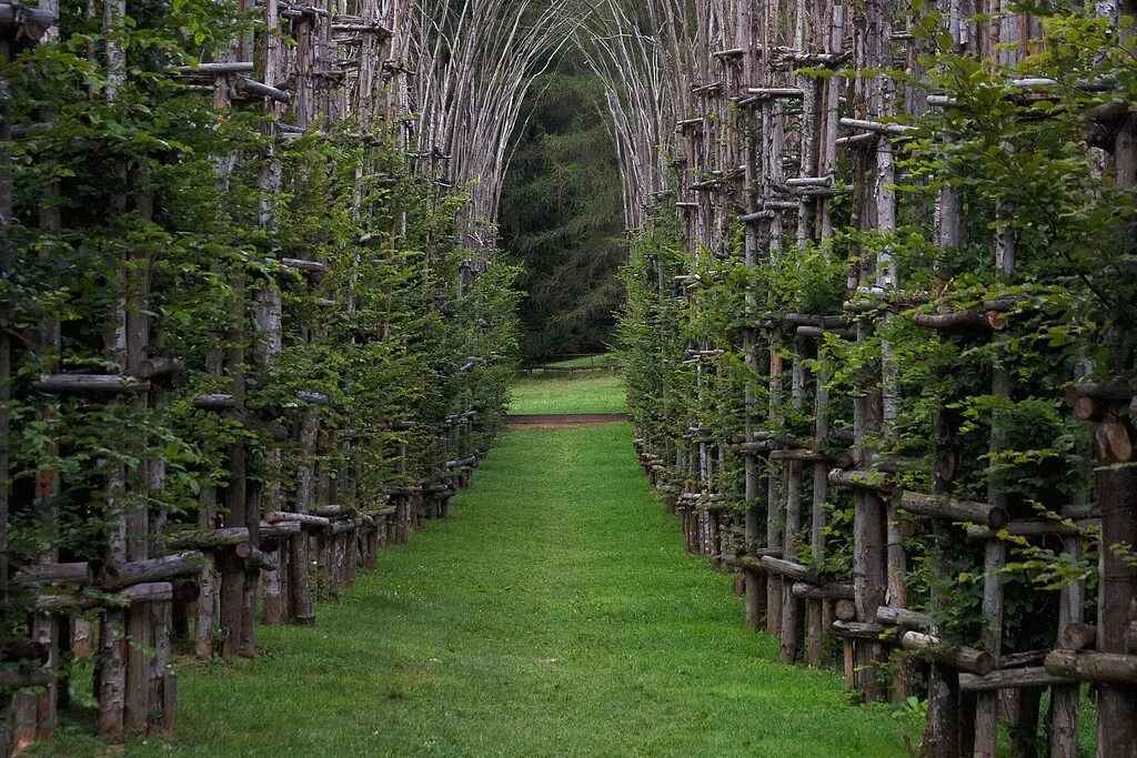 храм айраватешвары. луксорский храм древнего египта. санктуарий ходячие мертвецы. живой храм джулиано маури. архитектура из живых деревьев.