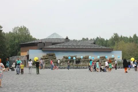 Новосибирский зоопарк веб