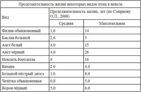 Сколько лет живут животные таблица 1 класс. Продолжительность жизни лягушки. Продолжительность жизни животных таблица 1. Сколько живут далб ëбы. Сколько живут далб ëбы.