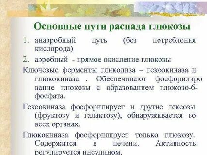 Анаэробный путь окисления глюкозы