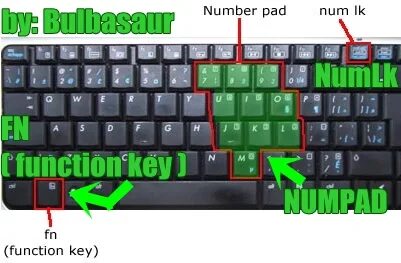 Num 1