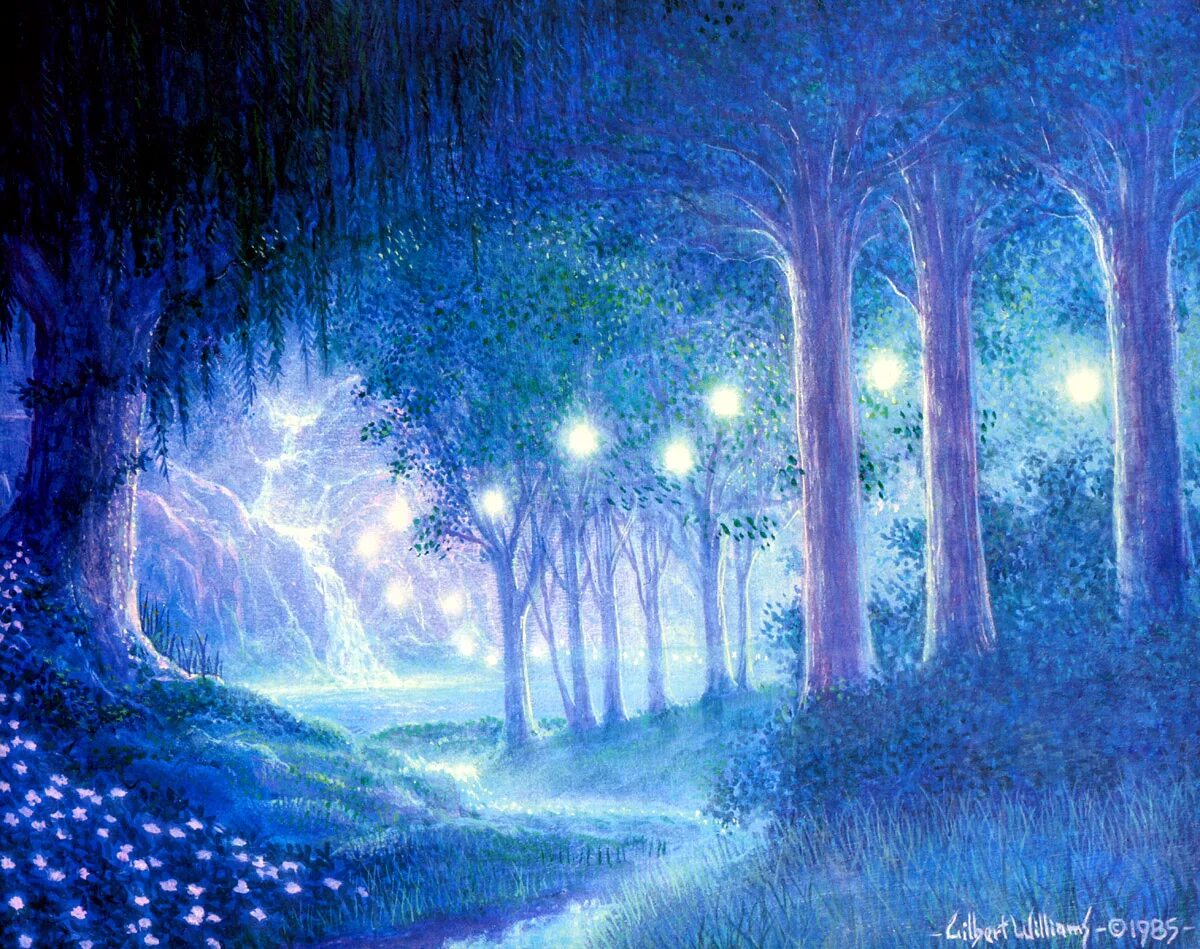 Волшебные картинки. Гилберт Уильямс картины. Ночной сказочный лес. Волшебный лес ночью. Сказочный лес ночью.