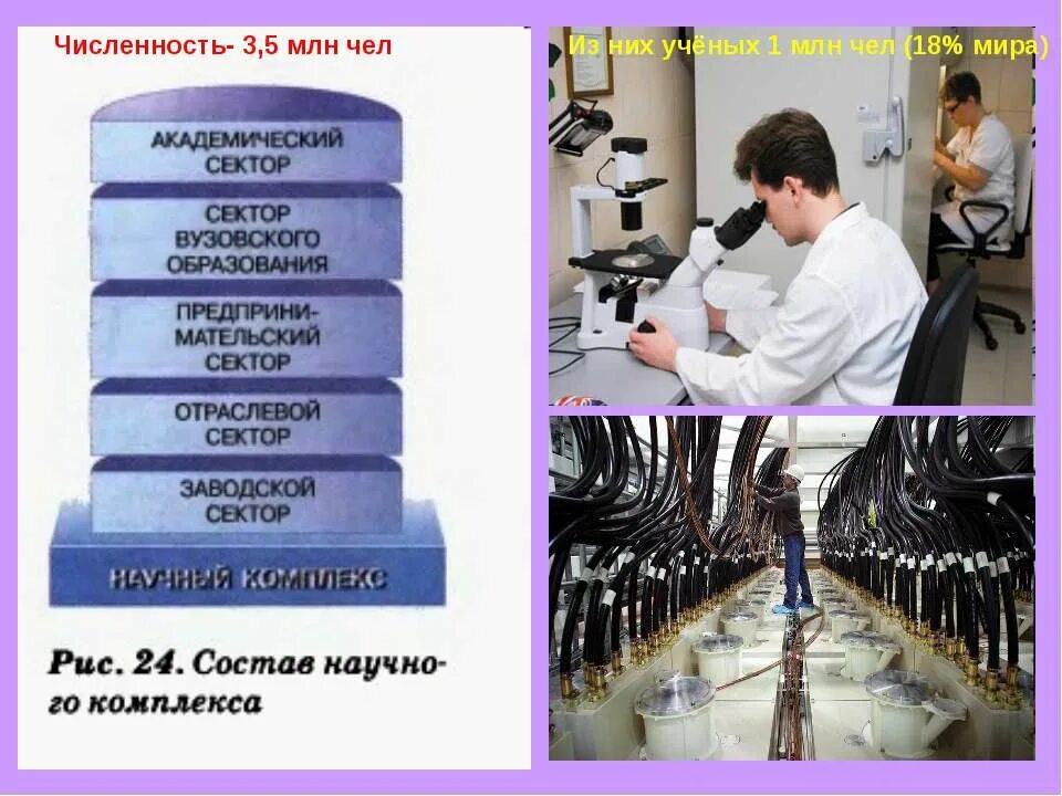 научный комплекс россии. состав научного комплекса. структура научного комплекса. отрасли научного комплекса. научный комплекс определение.
