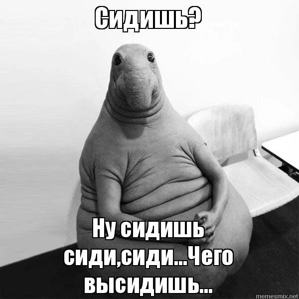Сиди сиди много высидишь. Ну ничем сижу. Типичный олень мем. Сидит ничего не делает. Человечки с надписями.