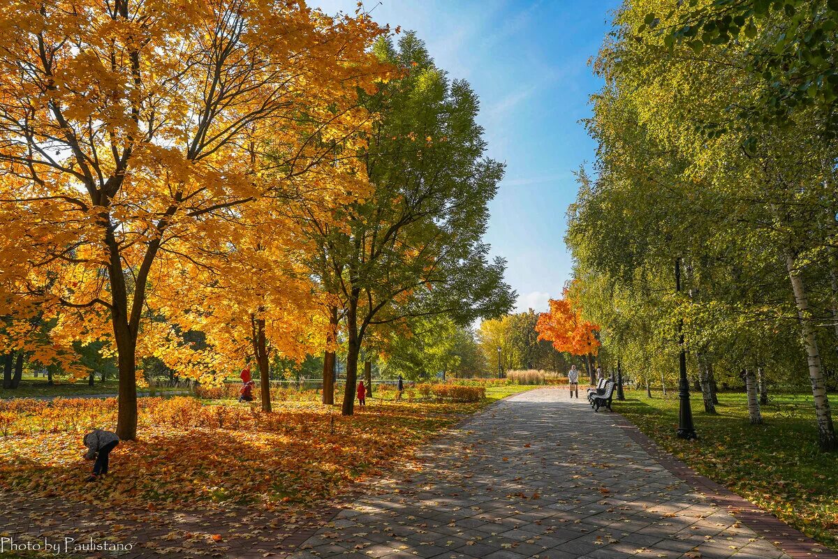 осенний парк москвы. екатерининский парк золотая осень. останкинский парк пруд. парк останкино осень. сад баумана в москве осень.