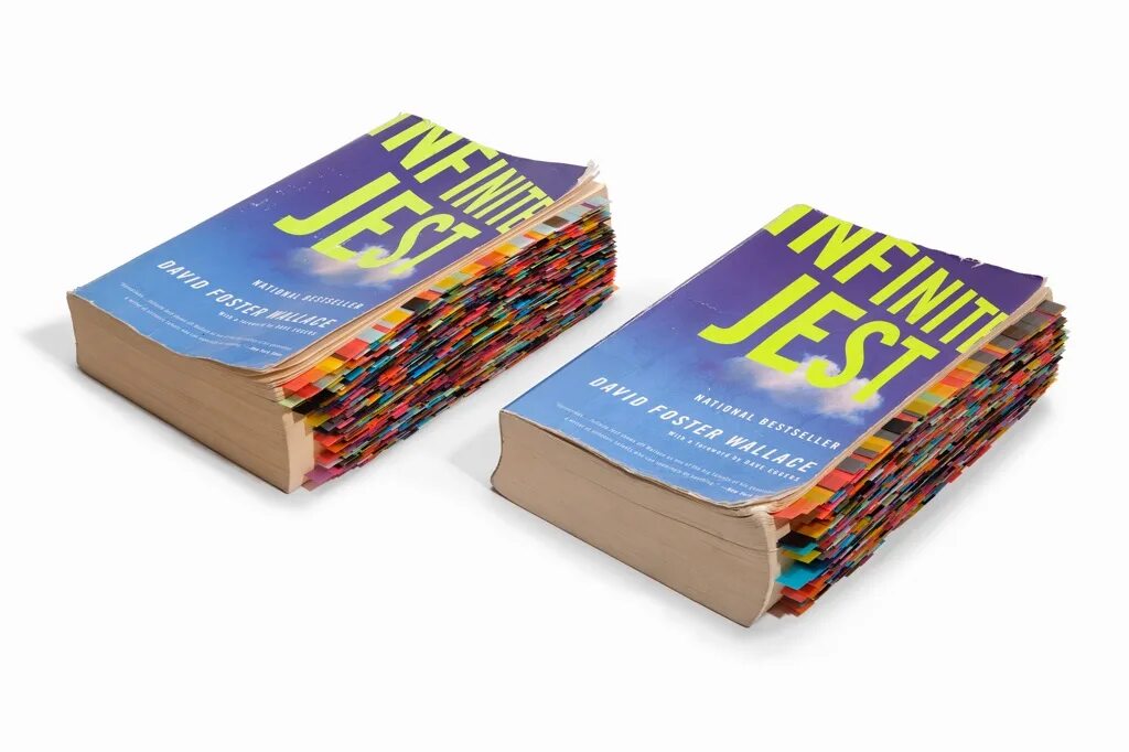 Wallace d. Бесконечная шутка книга. David foster infinite jest. Beyond the high himalayas книга. Infinite jest book.